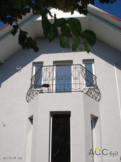 короед фото